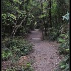 小溪頭環狀步道