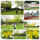 桃園陽明公園