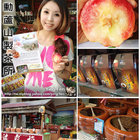 明勳蘆山製茶所