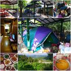 金成露營度假山莊