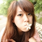 五月之雪油桐花