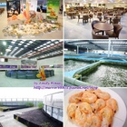 金車履歷鮮蝦養殖場