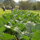 新竹關西玉山社區