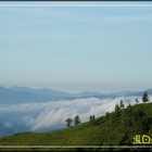 小太陽景觀小木屋露營區