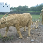 花蓮玉里稻草人