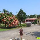 旗山三合院民宿