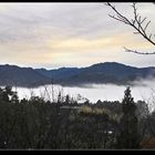 櫻之林休閒農場