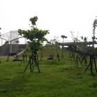 林園景點之林園漁港公園