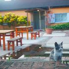 自然海個性民宿