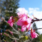 和社森林教育中心(台大實驗林)