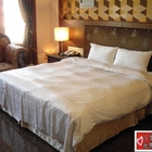 御花園商務汽車旅館(斗六館)