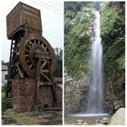 龍眼林社區尋禮