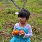 舞蜜農園露營區