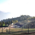 埔里寒舍私人招待所