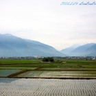 池上蠶桑休閒農場