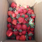 善化加州草莓園