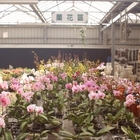 台糖南靖休閒廣場