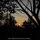 本草奇花園休閒農場、民宿