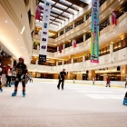 義大南極星滑冰世界