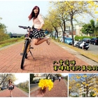 嘉義軍輝橋黃風鈴花