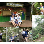 野猴子探險樂園