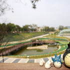 坪林森林生態公園