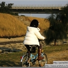 竹南濱海森林遊憩區