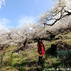 桐林社區坪仔頂