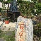 立康中草藥產業文化館百草園