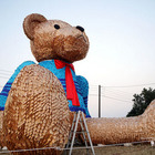 迷路小熊 地景藝術節