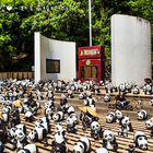 1600貓熊世界之旅Pandas on Tour(南投場)