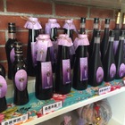 桑葚緣觀光果園