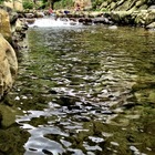 下坑子口親水休憩區親水步道