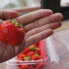 田園美色草莓園