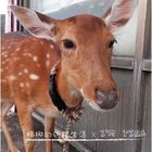 紅魔鬼民宿