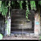 基隆港西防空洞羣