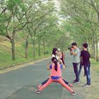 台最長最苦楝樹隧道