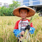 山水米有機稻場