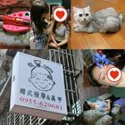 蒂芬妮光療美甲/半永久美妝專門店(旗艦店)