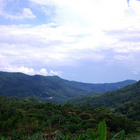 愛水之家自然農園