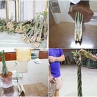 土庫馬拉巴栗外銷集貨處理中心