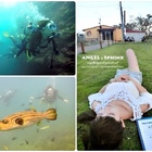 藍洞潛水Blue Hole Dive Center