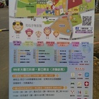 105年大園花彩節