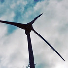 大安龜殼生態園區