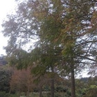 照門休閒農業區