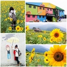 台東關山米國學校