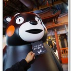 棒棒熊本縣 熊好來逗陣展