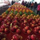 觀自在金龍寶塔