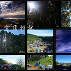 雲頂杉林景觀農場