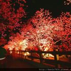 后里泰安派出所